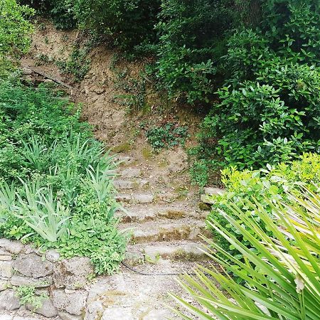 Les Acanthes Lauris Exteriér fotografie